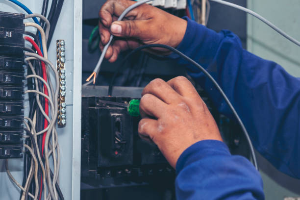 Best Electrical Rewiring Services  in Algonac, MI