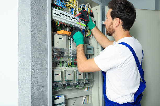 Best Residential Electrician Services  in Algonac, MI