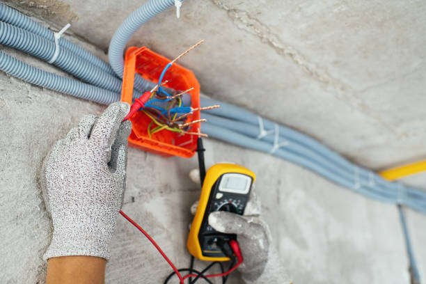 Best Residential Electrician Services  in Algonac, MI
